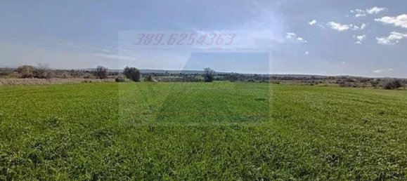 Studio in Canicattini Bagni, Italy, Nr. 143927 41