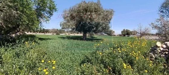 Studio in Canicattini Bagni, Italy, Nr. 143927 11