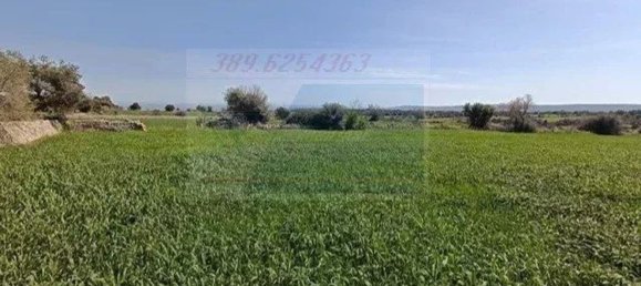 Studio in Canicattini Bagni, Italy, Nr. 143927 21