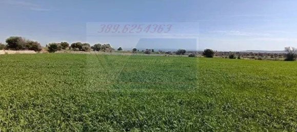 Studio in Canicattini Bagni, Italy, Nr. 143927 47