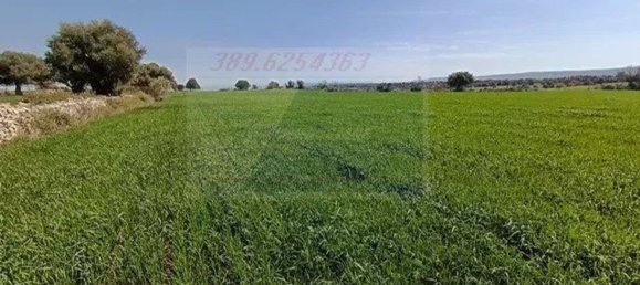 Studio in Canicattini Bagni, Italy, Nr. 143927 19