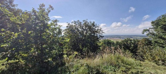 Grundstück in Feldkirchen an der Donau, Austria, Nr. 254408 9