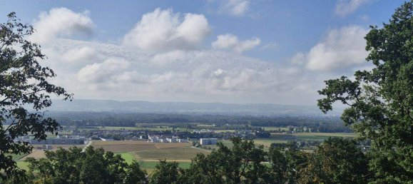 Grundstück in Feldkirchen an der Donau, Austria, Nr. 254408 11