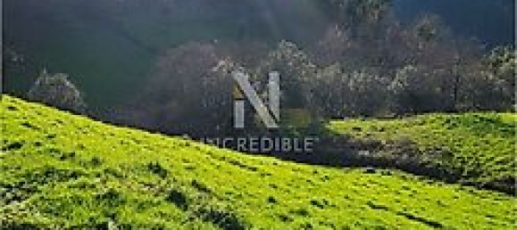 8500m² Land in Rio Douro, Portugal No. 40020 7