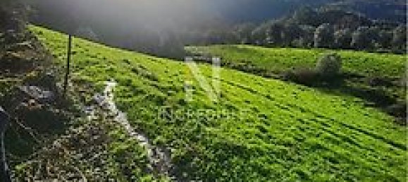 8500m² Land in Rio Douro, Portugal No. 40020 6