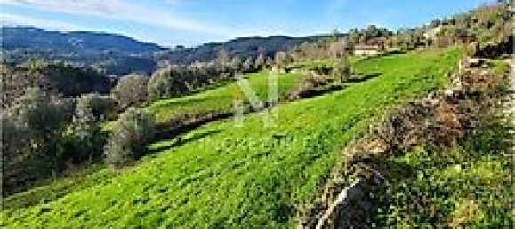 8500m² Land in Rio Douro, Portugal No. 40020 4