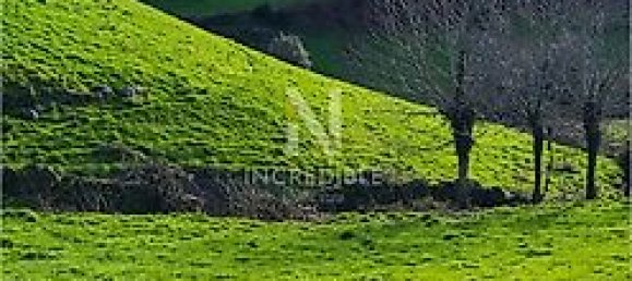 8500m² Land in Rio Douro, Portugal No. 40020 9