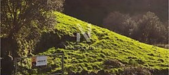 8500m² Land in Rio Douro, Portugal No. 40020 3