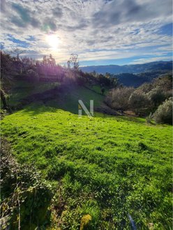 8500m² Land in Rio Douro, Portugal No. 40020