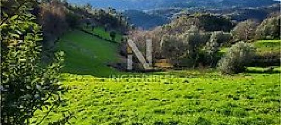 8500m² Land in Rio Douro, Portugal No. 40020 5