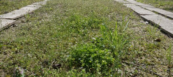 6 rooms Villa in Colorno, Italy No. 235954 18