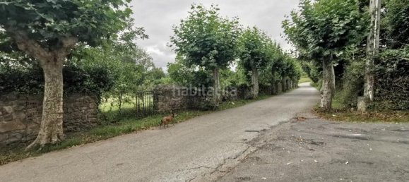 302m² Land in Colindres, Spain No. 167848 10