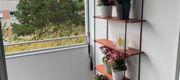 3 rooms Apartment in Maria Enzersdorf, Austria No. 256670 4