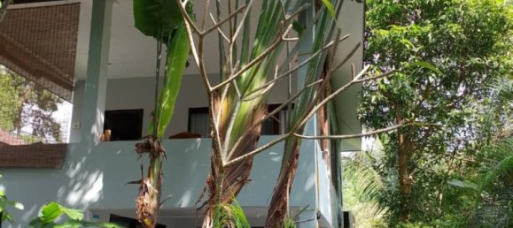 3 Schlafzimmer Villa in Surat Thani, Thailand, Nr. 72835 9