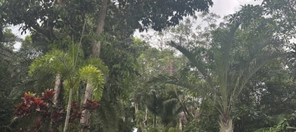 3 Schlafzimmer Villa in Surat Thani, Thailand, Nr. 72835 2