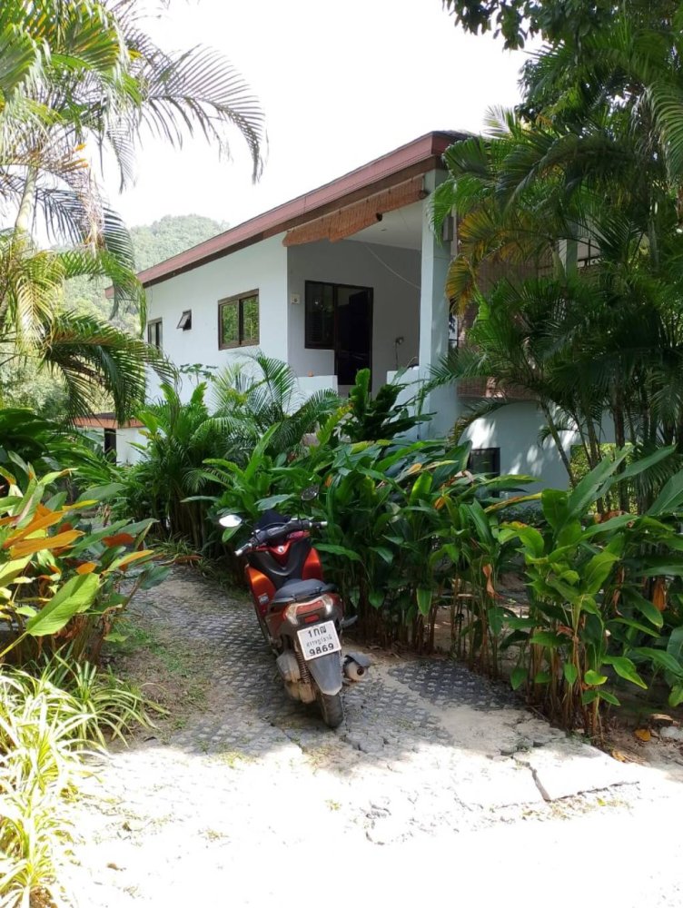 3 Schlafzimmer Villa in Surat Thani, Thailand, Nr. 72835