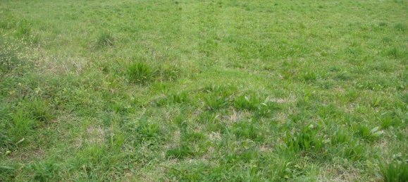 912m² Land in Caminha, Portugal No. 56506 10