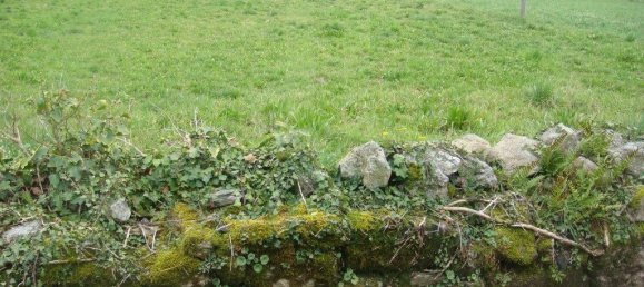 912m² Land in Caminha, Portugal No. 56506 8