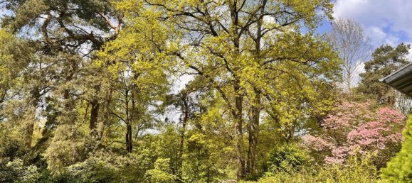 Moradia em banda de 14 divisões em Luneburg, Germany N.º 358195 6