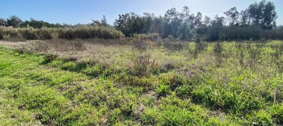 Terrain à Figueira da Foz, Portugal 1680m² No. 86527 4