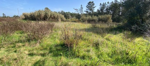 Terrain à Figueira da Foz, Portugal 1680m² No. 86527 7