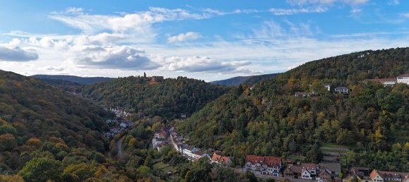 5-Zimmer Haus in Bad Dürkheim, Germany, Nr. 36412 13