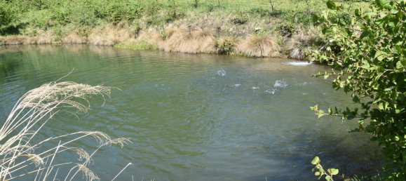 Terreno de 3 habitaciónes en Ludmannsdorf, Austria No. 79911 31