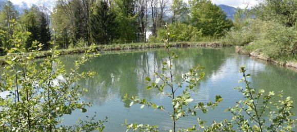Terreno de 3 habitaciónes en Ludmannsdorf, Austria No. 79911 29