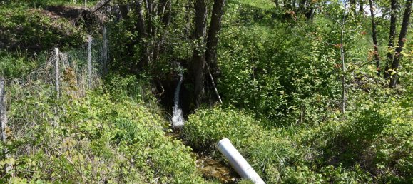 Terreno de 3 habitaciónes en Ludmannsdorf, Austria No. 79911 34