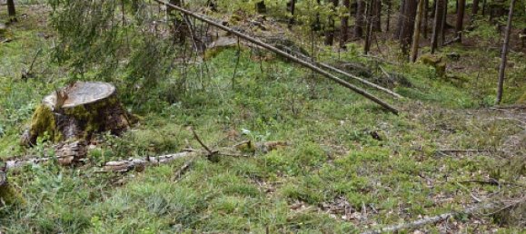 Terreno de 3 habitaciónes en Ludmannsdorf, Austria No. 79911 38
