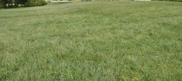 Terreno de 3 habitaciónes en Ludmannsdorf, Austria No. 79911 28