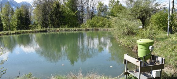 Terreno de 3 habitaciónes en Ludmannsdorf, Austria No. 79911 30