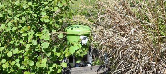 Terreno de 3 habitaciónes en Ludmannsdorf, Austria No. 79911 20