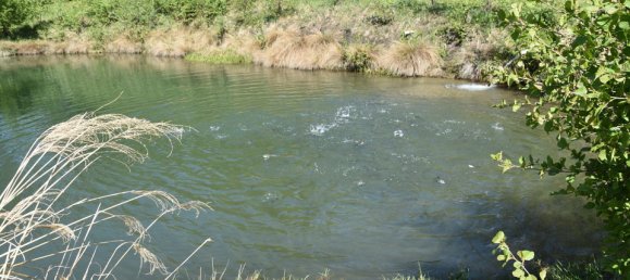 Terreno de 3 habitaciónes en Ludmannsdorf, Austria No. 79911 21