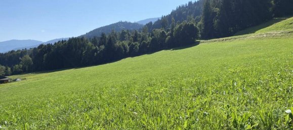 قطعة أرض في Liezen, Austria رقم 223734 3