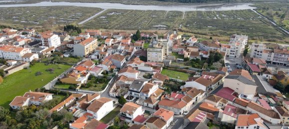 4 chambres Maison à Vagos, Portugal No. 174368 50