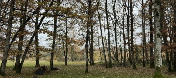 4 Schlafzimmer Haus in Bazoches-sur-le-Betz, France, Nr. 78865 12