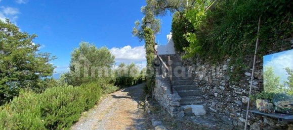 3 bedrooms House in Alassio, Italy No. 39618 57