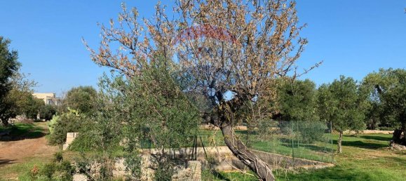 1-Zimmer Grundstück in Monopoli, Italy, Nr. 150955 7