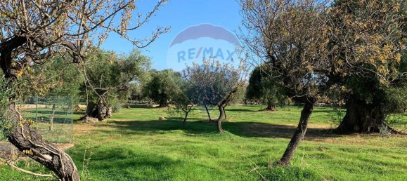 1-Zimmer Grundstück in Monopoli, Italy, Nr. 150955 6