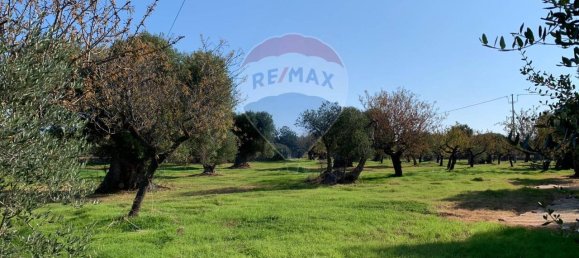 1-Zimmer Grundstück in Monopoli, Italy, Nr. 150955 12