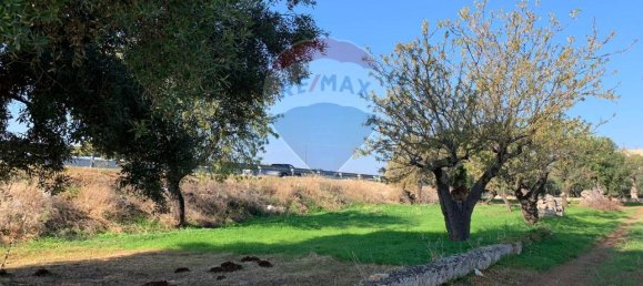 1-Zimmer Grundstück in Monopoli, Italy, Nr. 150955 2