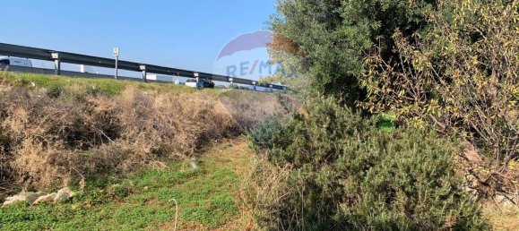 1-Zimmer Grundstück in Monopoli, Italy, Nr. 150955 4