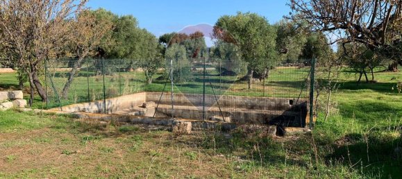 1-Zimmer Grundstück in Monopoli, Italy, Nr. 150955 9