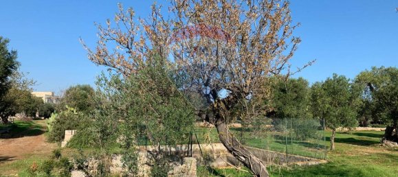 1-Zimmer Grundstück in Monopoli, Italy, Nr. 150955 3