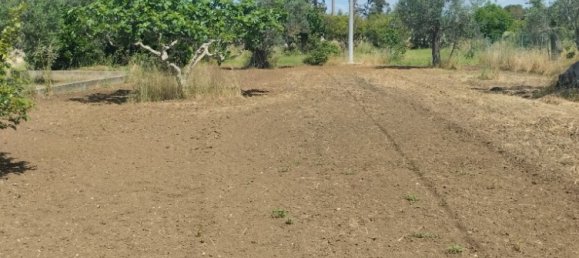 Земельный участок 6000м² в Matino, Италия № 275312 3