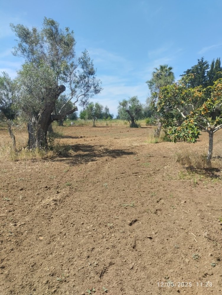 Земельный участок 6000м² в Matino, Италия № 275312