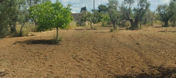 Земельный участок 6000м² в Matino, Италия № 275312 6