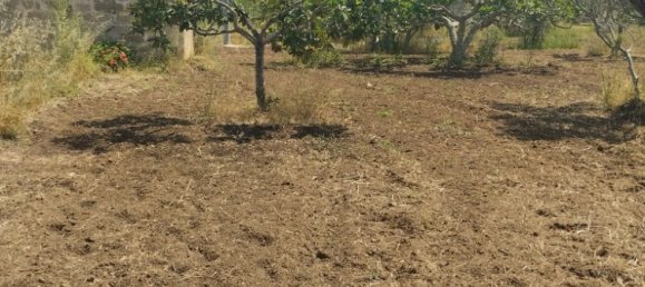 Земельный участок 6000м² в Matino, Италия № 275312 5