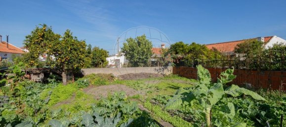 Casa T4 em Ferreira do Alentejo, Portugal N.º 15923 19